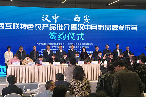 汉中优化网站 www.htq.gov.cn